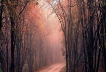 欧博：体坛名场面：孙颖莎全运会最欢乐比赛，全场两队都是各种开心表情包.