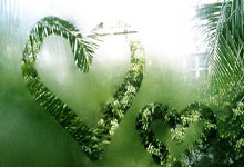 年终总决赛一路杀进决赛,郑钦文创纪录的脚步不停歇澎湃新闻.